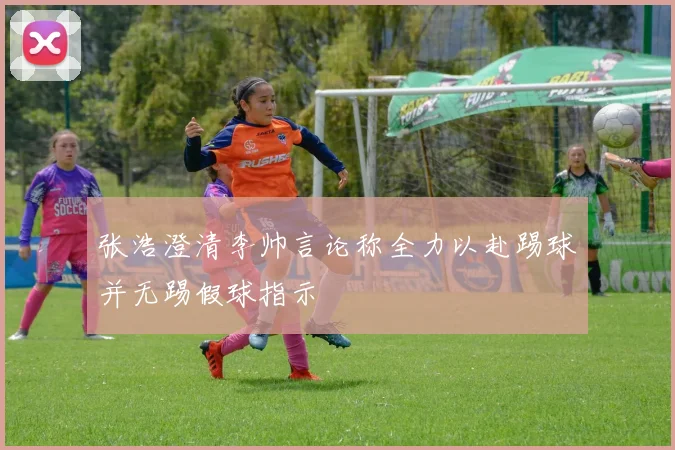 张浩澄清李帅言论称全力以赴踢球并无踢假球指示